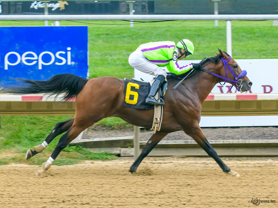 Cre Run racing champion  Thess Is Awesome